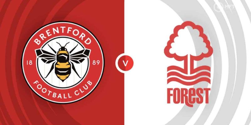 Nottingham Forest vs Brentford Những Yếu Tố Quyết Định Trận Đấu
